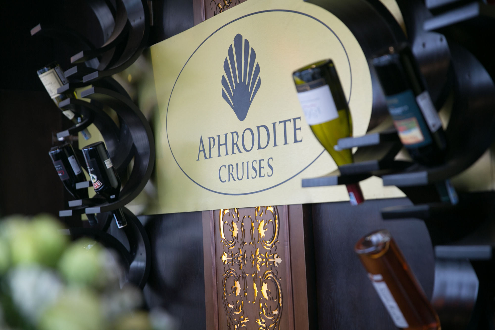 הלונג Aphrodite Cruise מראה חיצוני תמונה